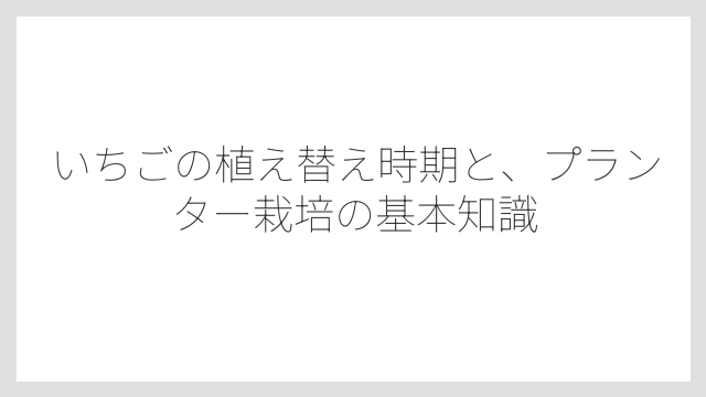 いちごの植え替え時期と、プランター栽培の基本知識