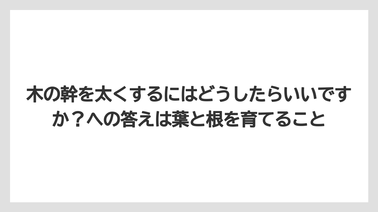 【パキラ】【木】【栽培】【育て方】木の幹を太くするにはどうしたらいいですか？への答えは葉と根を育てること