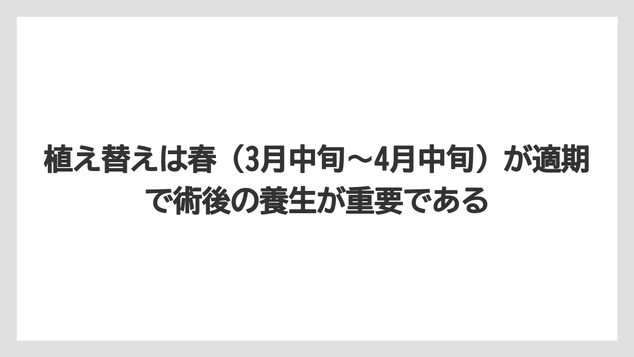 【栽培】【葉】【農業】植え替えは春（3月中旬〜4月中旬）が適期で術後の養生が重要である