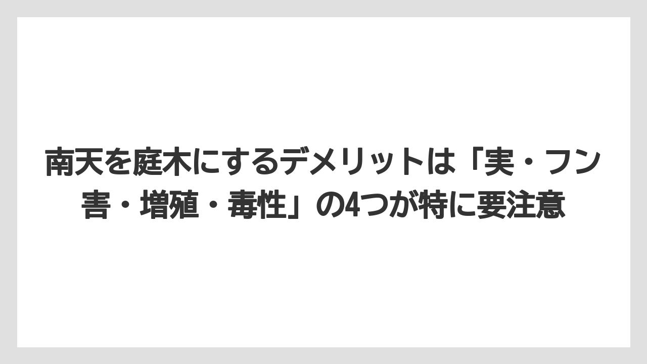 【栽培】【農園】【農業】南天を庭木にするデメリットは「実・フン害・増殖・毒性」の4つが特に要注意
