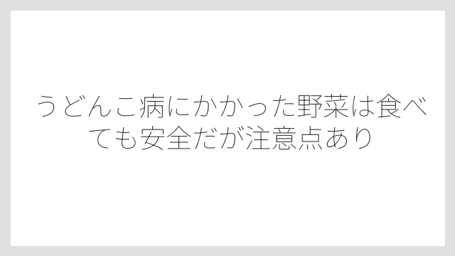うどんこ病にかかった野菜は食べても安全だが注意点あり