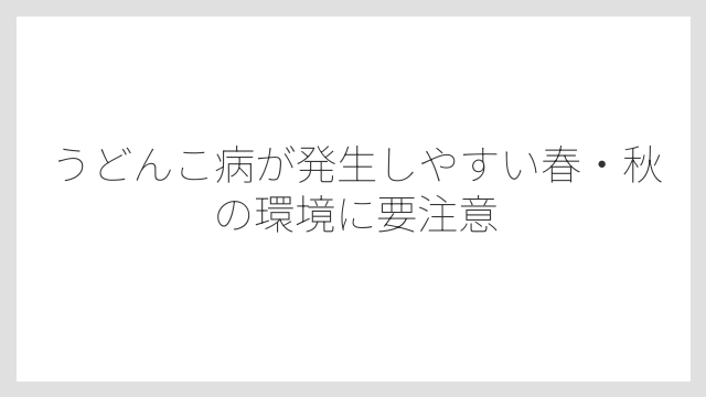 うどんこ病が発生しやすい春・秋の環境に要注意