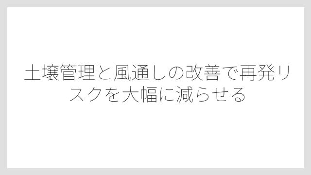 土壌管理と風通しの改善で再発リスクを大幅に減らせる