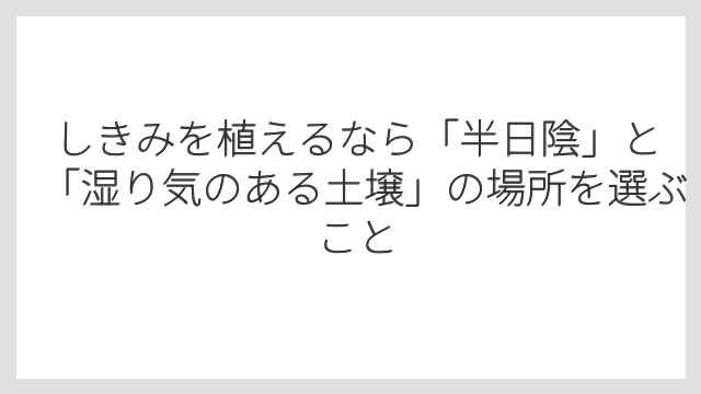 しきみを植えるなら「半日陰」と「湿り気のある土壌」の場所を選ぶこと
