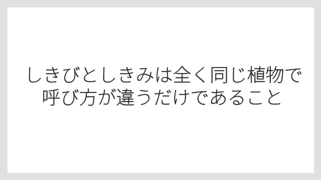 しきびとしきみは全く同じ植物で呼び方が違うだけであること