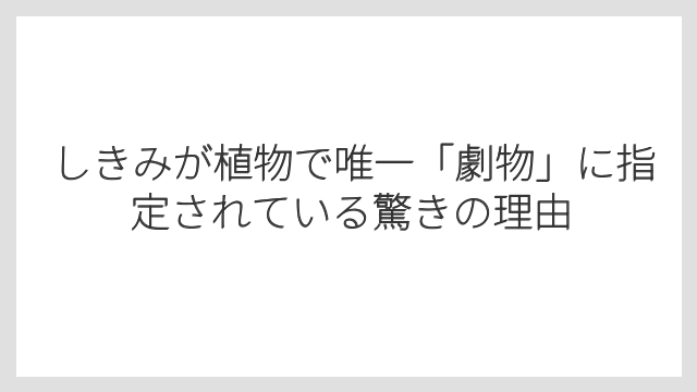 しきみが植物で唯一「劇物」に指定されている驚きの理由
