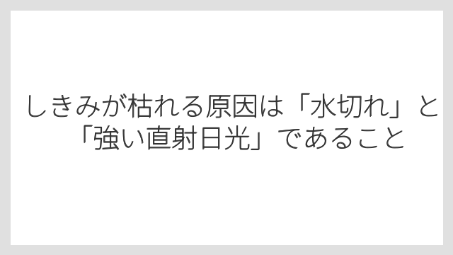 しきみが枯れる原因は「水切れ」と「強い直射日光」であること