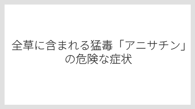 全草に含まれる猛毒「アニサチン」の危険な症状