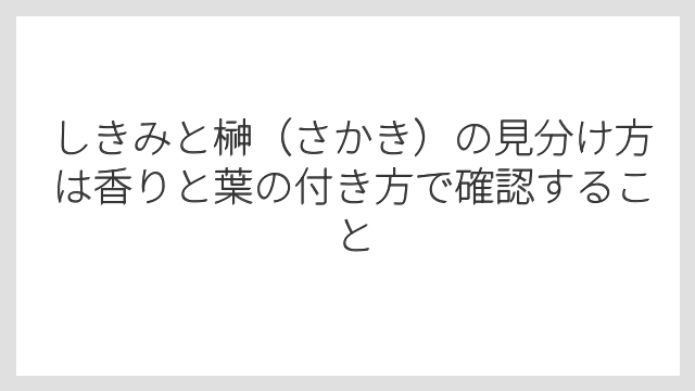 しきみと榊（さかき）の見分け方は香りと葉の付き方で確認すること