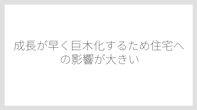 成長が早く巨木化するため住宅への影響が大きい