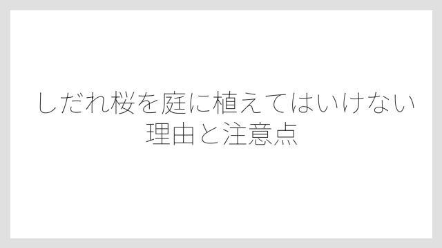 しだれ桜を庭に植えてはいけない理由と注意点