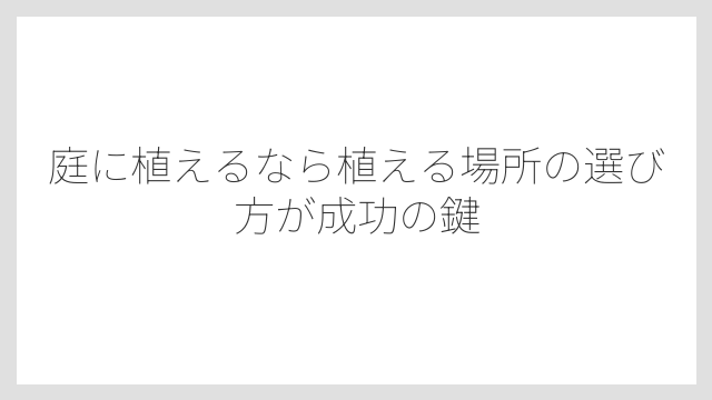 庭に植えるなら植える場所の選び方が成功の鍵