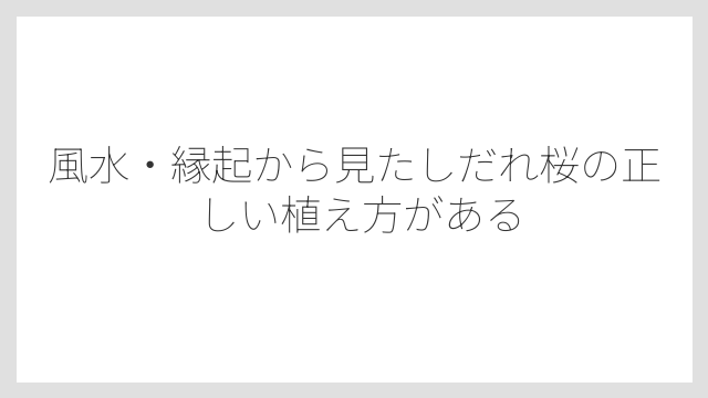 風水・縁起から見たしだれ桜の正しい植え方がある