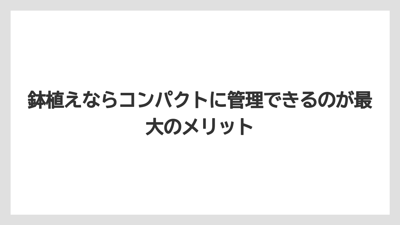 【ビバーナム】【後悔】【栽培】【植え】【育て方】鉢植えならコンパクトに管理できるのが最大のメリット
