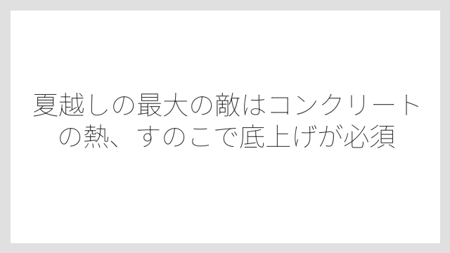 夏越しの最大の敵はコンクリートの熱、すのこで底上げが必須