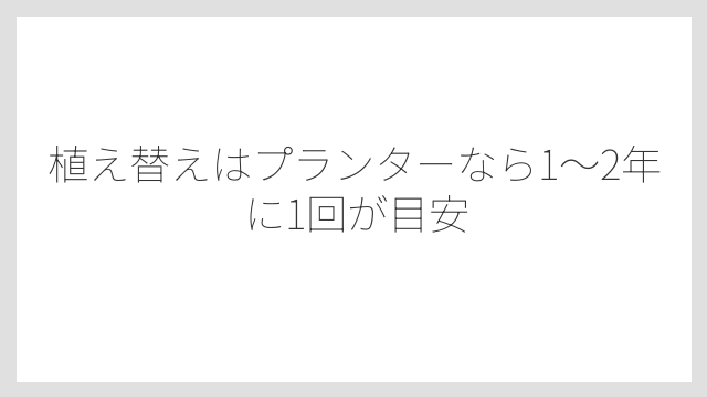 植え替えはプランターなら1〜2年に1回が目安