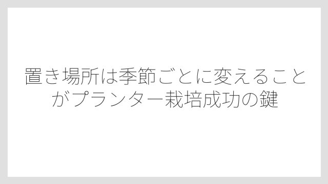 置き場所は季節ごとに変えることがプランター栽培成功の鍵