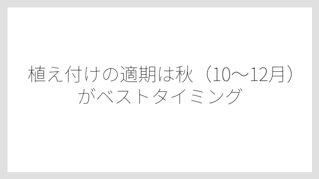植え付けの適期は秋（10〜12月）がベストタイミング