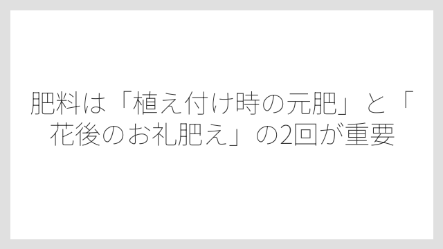肥料は「植え付け時の元肥」と「花後のお礼肥え」の2回が重要