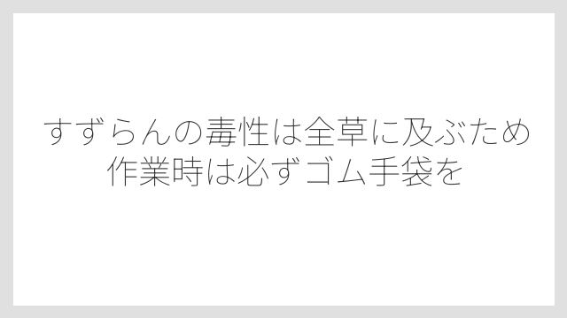 すずらんの毒性は全草に及ぶため作業時は必ずゴム手袋を