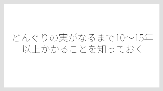 どんぐりの実がなるまで10〜15年以上かかることを知っておく