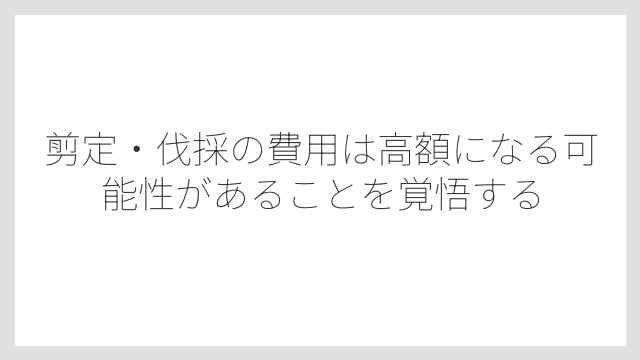 剪定・伐採の費用は高額になる可能性があることを覚悟する