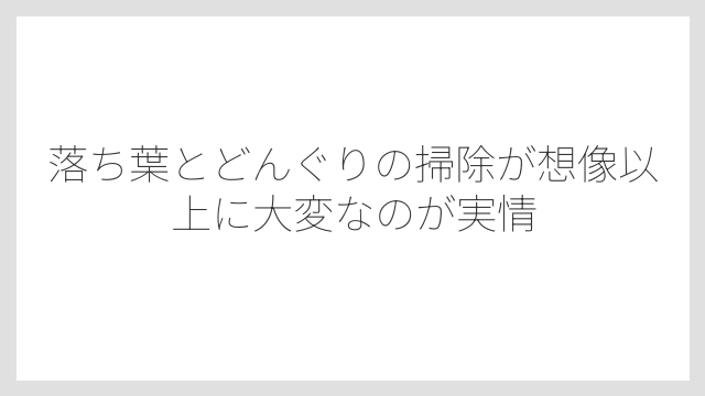落ち葉とどんぐりの掃除が想像以上に大変なのが実情