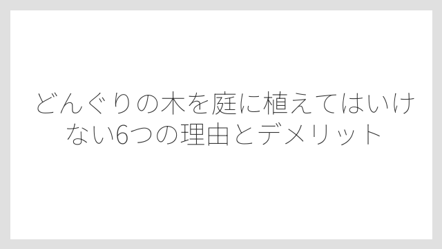 どんぐりの木を庭に植えてはいけない6つの理由とデメリット