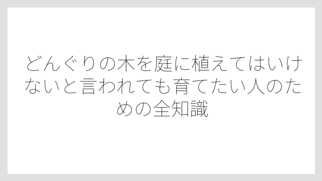 落ち葉・越境枝が原因で近隣トラブルや法的問題になることも