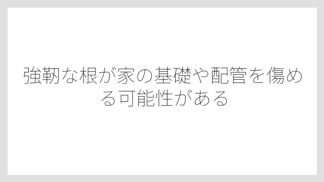 強靭な根が家の基礎や配管を傷める可能性がある