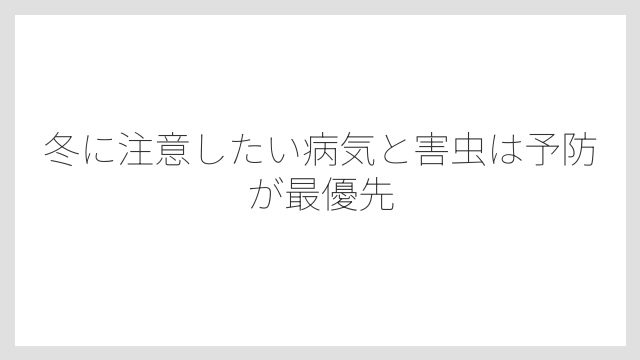 冬に注意したい病気と害虫は予防が最優先