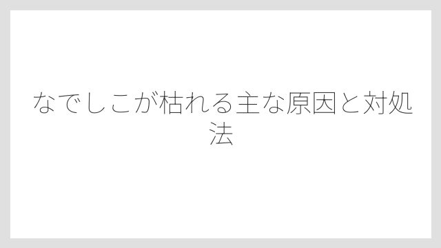なでしこが枯れる主な原因と対処法