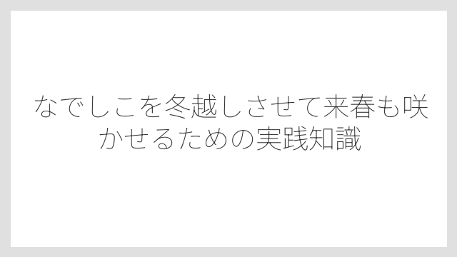 冬の肥料は完全ストップが正解な理由