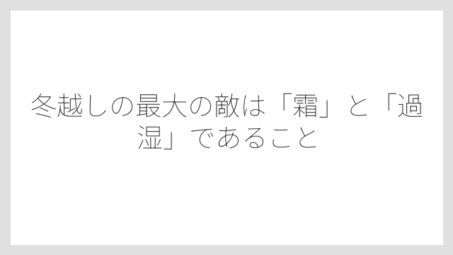 冬越しの最大の敵は「霜」と「過湿」であること
