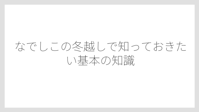 なでしこの冬越しで知っておきたい基本の知識