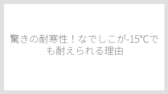 驚きの耐寒性！なでしこが-15℃でも耐えられる理由