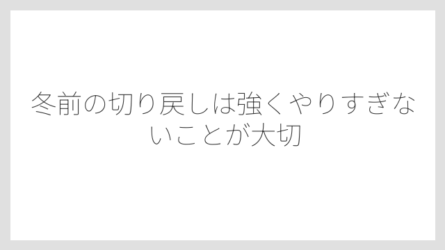 冬前の切り戻しは強くやりすぎないことが大切