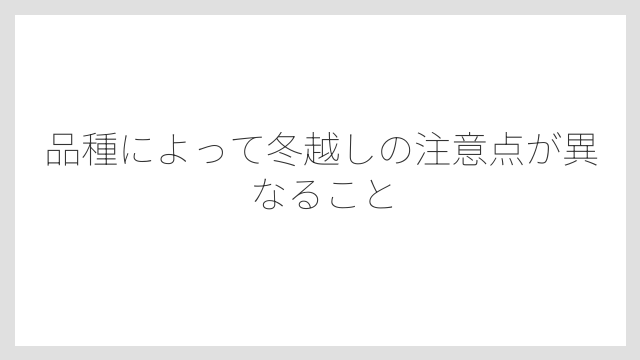 品種によって冬越しの注意点が異なること