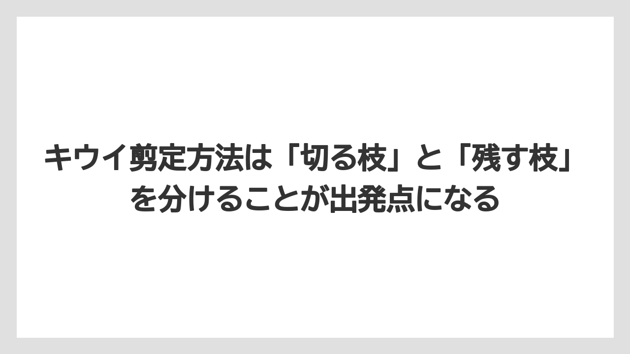 【バラ】【栽培】【農業】キウイ剪定方法は「切る枝」と「残す枝」を分けることが出発点になる