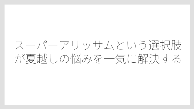 スーパーアリッサムという選択肢が夏越しの悩みを一気に解決する