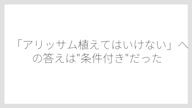 「アリッサム植えてはいけない」への答えは”条件付き”だった