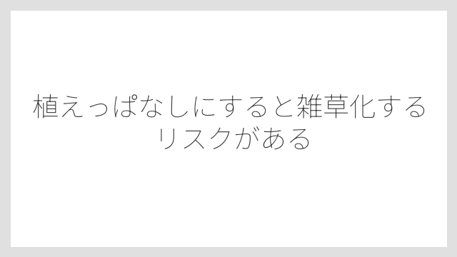 植えっぱなしにすると雑草化するリスクがある