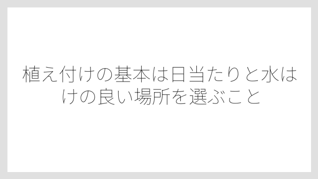植え付けの基本は日当たりと水はけの良い場所を選ぶこと