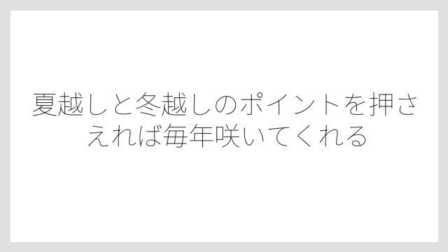 夏越しと冬越しのポイントを押さえれば毎年咲いてくれる