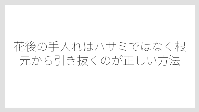 花後の手入れはハサミではなく根元から引き抜くのが正しい方法