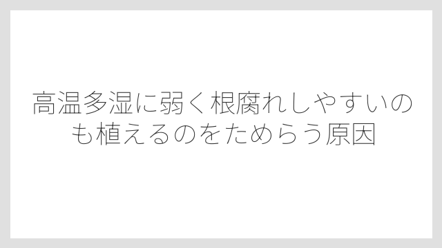 高温多湿に弱く根腐れしやすいのも植えるのをためらう原因