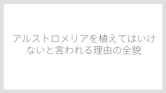 アルストロメリアを植えてはいけないと言われる理由の全貌
