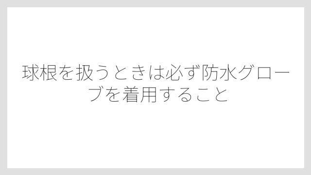 球根を扱うときは必ず防水グローブを着用すること