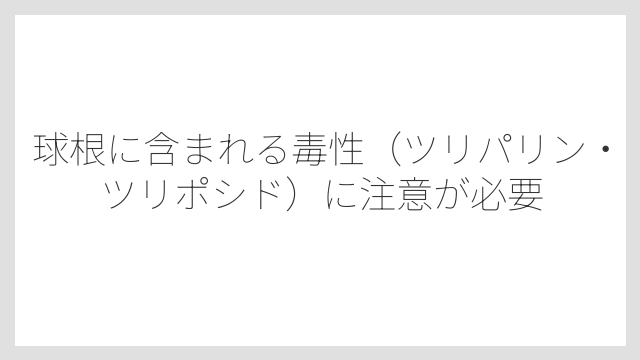 球根に含まれる毒性（ツリパリン・ツリポシド）に注意が必要