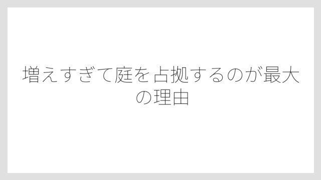 増えすぎて庭を占拠するのが最大の理由